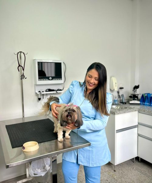 WhatsApp Image 2025-11-24 at 16.44.15