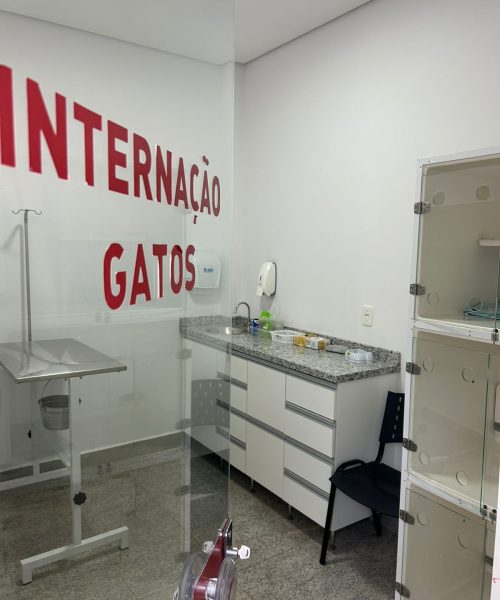 WhatsApp Image 2025-11-24 at 16.44.38