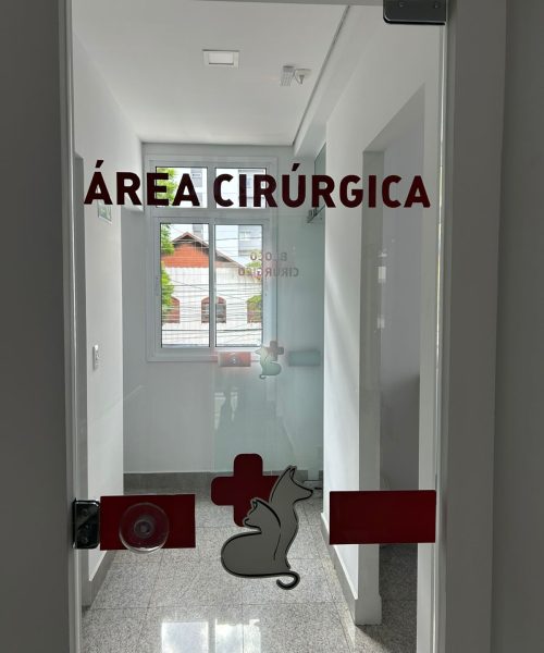 WhatsApp Image 2025-11-24 at 16.45.16